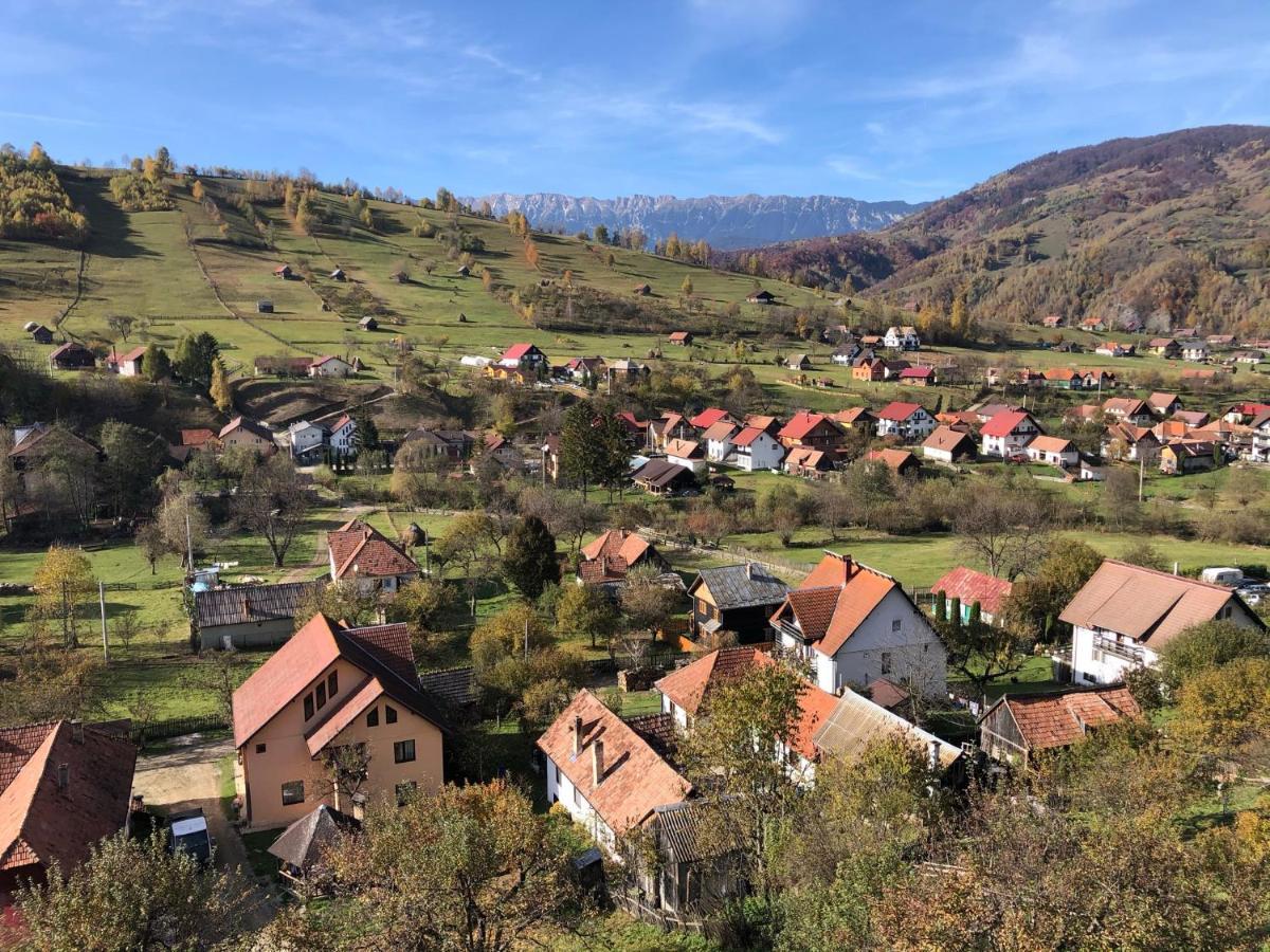 On Top Chalet Bran (Brasov) Exterior foto