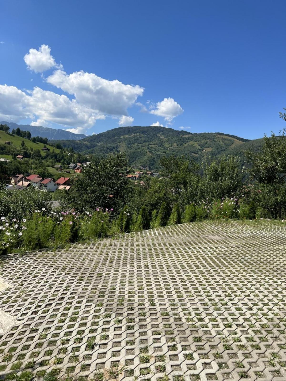 On Top Chalet Bran (Brasov) Exterior foto